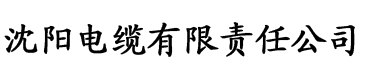 91香蕉黄视频电缆厂logo